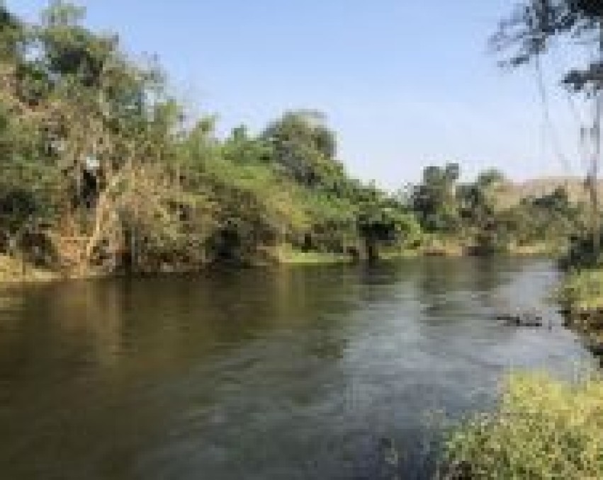 ที่ดินริมแม่น้ำ