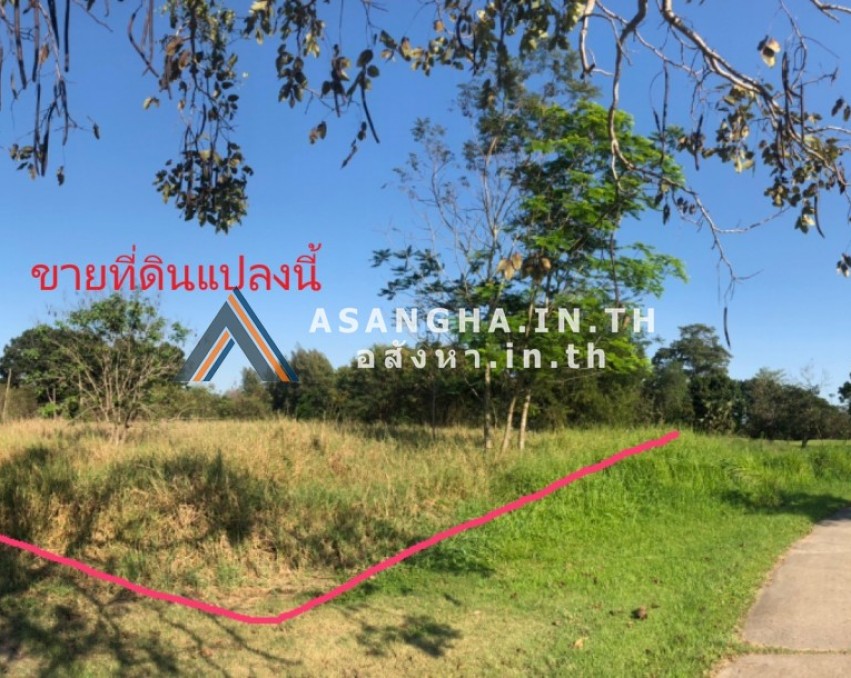 ขายที่ดินเนื้อที่ 1 ไร่ 2 งาน 93 ตารางวา