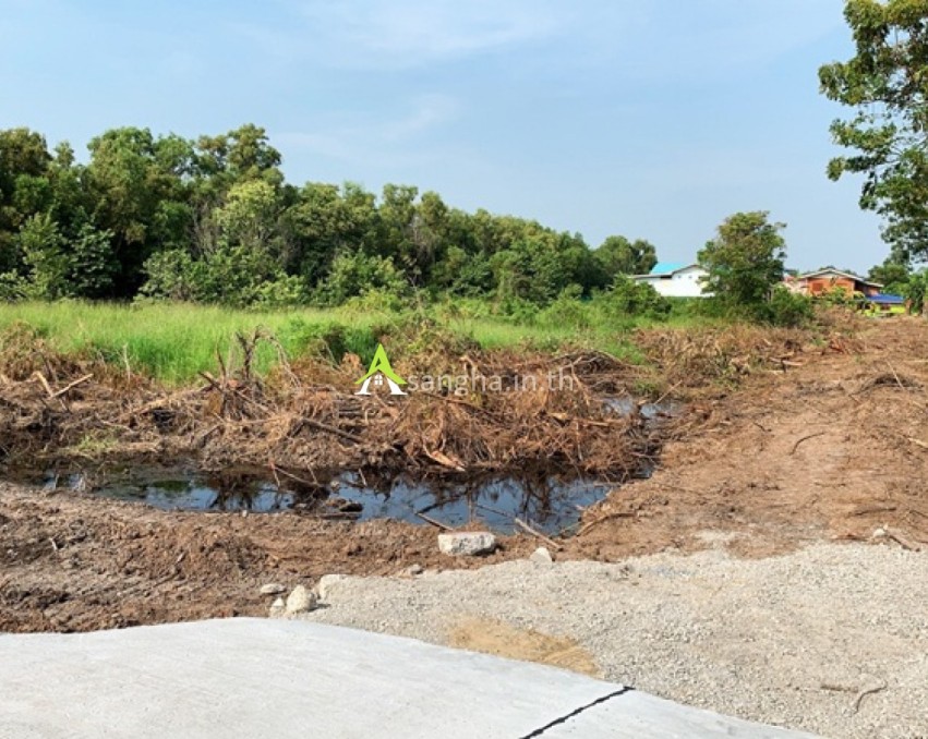 ขายบ้านเดี่ยว ชั้นเดียว เนื้อที่ 70 ตารางวา 3 ห้อง