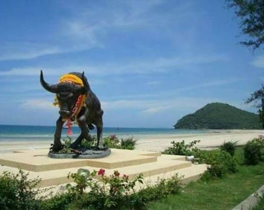 ขายที่ดินเปล่า 1-3 ไร่ มีโฉนด ปะทิว ใกล้ทะเล 150-300 ม ทำเลสุดยอดสำหรับผู้มองหาที่ไม่แพงและสงบ ร่มรื่น