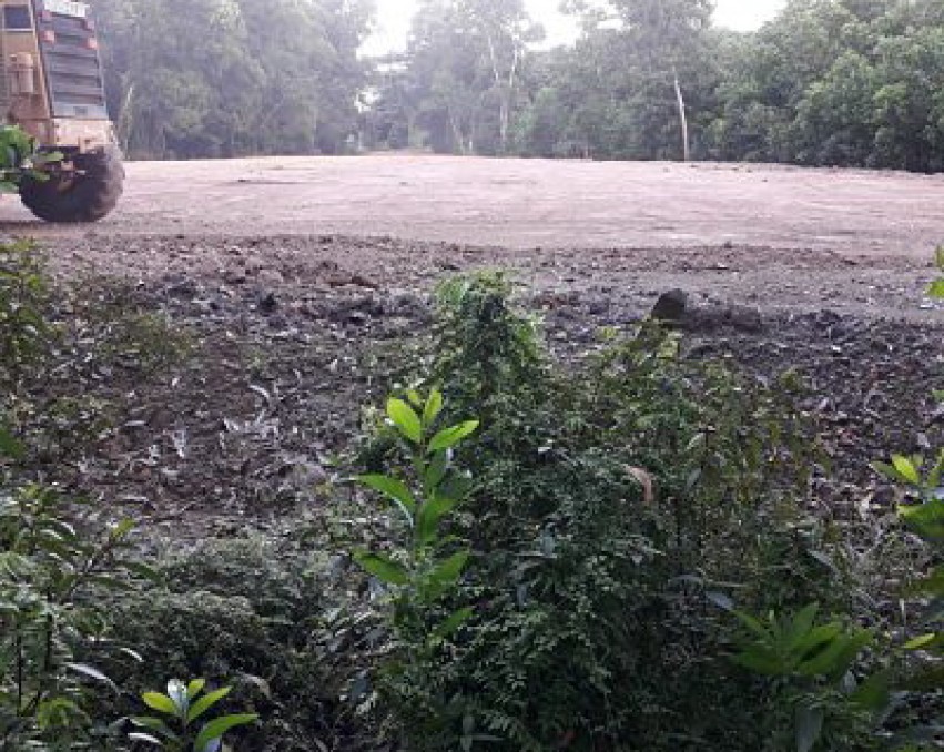 Sale Nice 2 Plots Land with 3 Rais next, very closed the beach just 150 m. suitable for small project or villa Chumphon