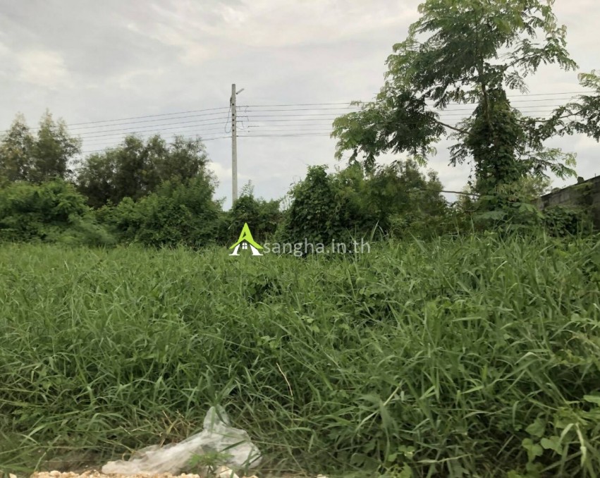 ขายบ้านพร้อมที่ดิน 286 ตรว. หมู่บ้านเวิลด์คลับแลนด์  ใกล้สนามบิน ใกล้สวนราชพฤกษ์ เดินทางสะดวก