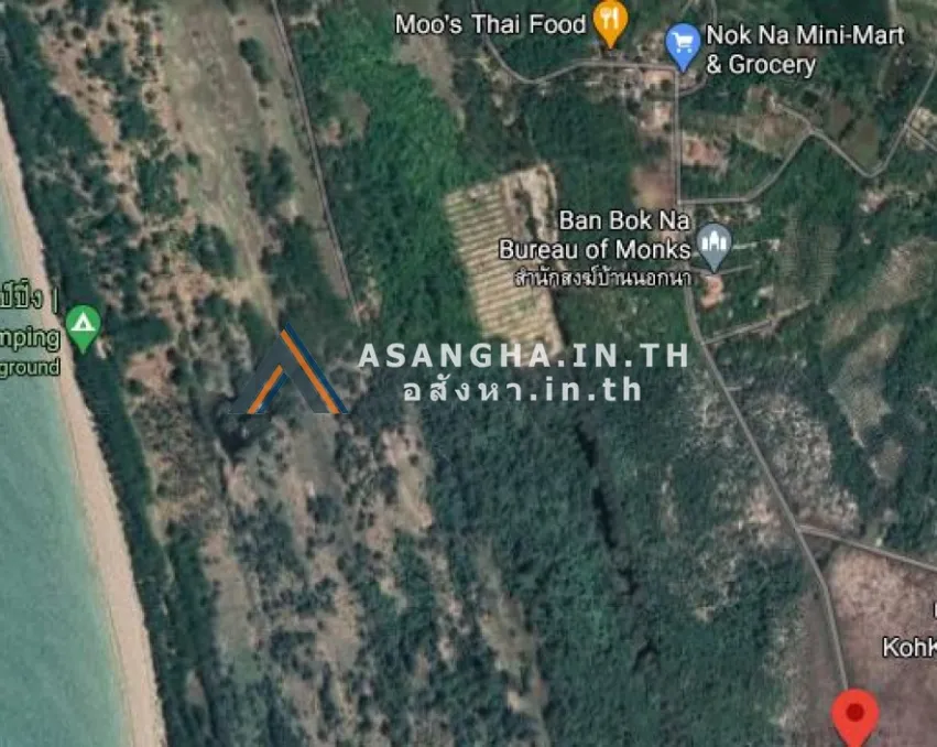 ขายและให้เช่าที่ดิน 13 ไร่ 2 งาน 87 ตรว ติดถนน