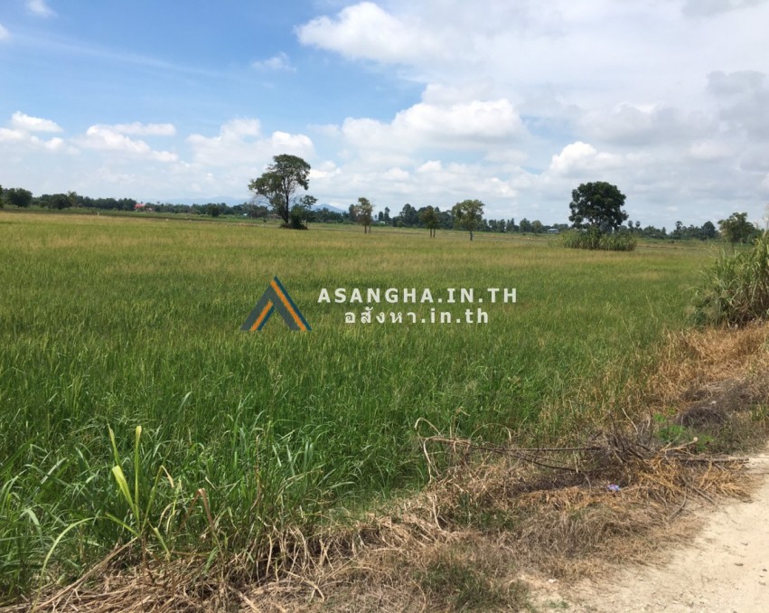 ขายที่นาเรือกสวนนครสวรรค์ ดินแดนอุดมมาก ราคาสี่ล้านต้นๆพร้อมโอนจริงทันที