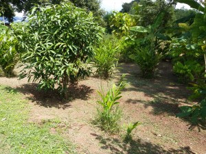 สุภาพร พิมพุฒ