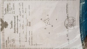 ณัฐกาญจน์ เสงี่ยมชื่น